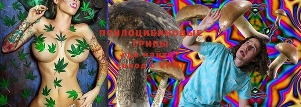 дурь Медногорск
