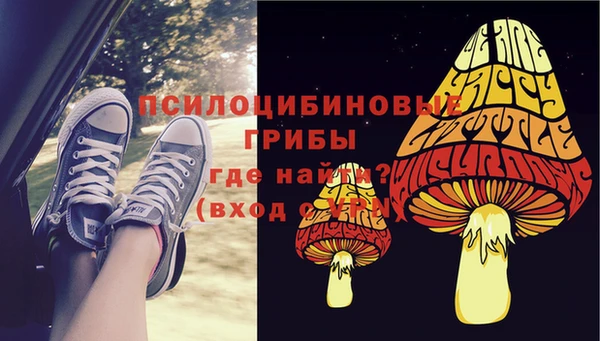 дурь Медногорск